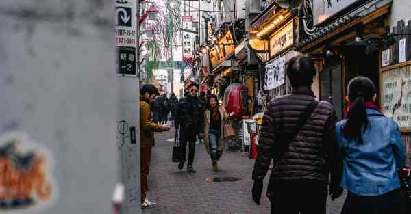 电脑梯子免费试用