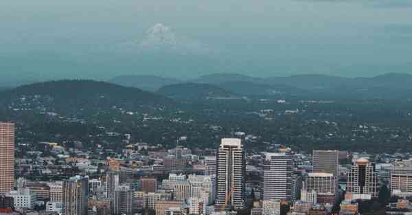 雷霆加速器软件下载