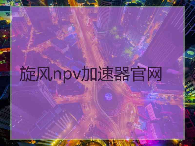 旋风npv加速器官网