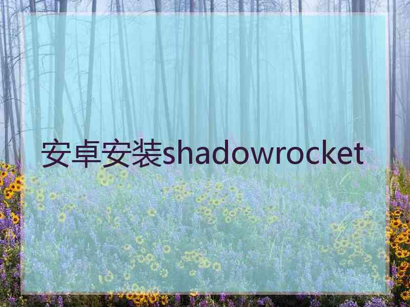 安卓安装shadowrocket