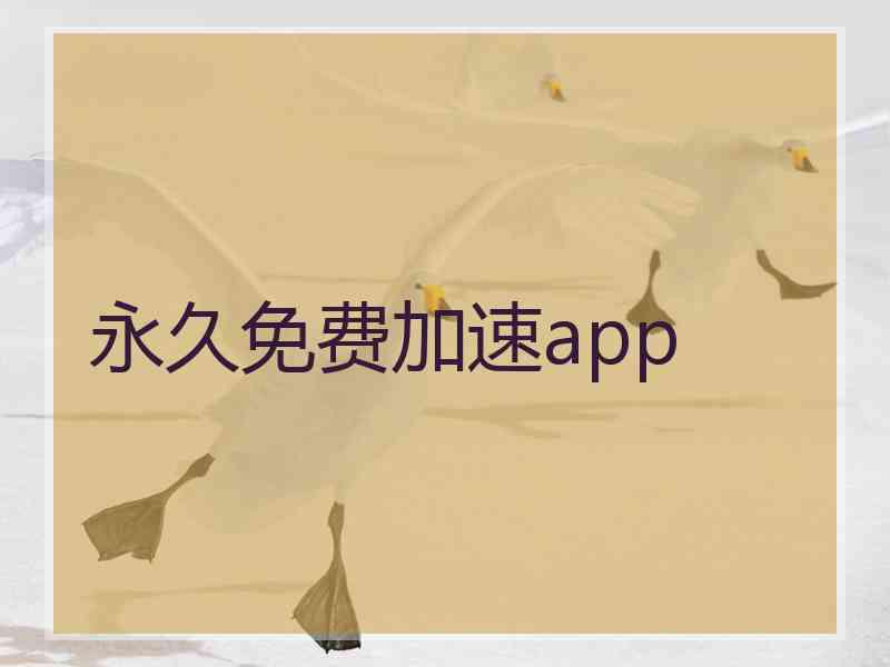 永久免费加速app