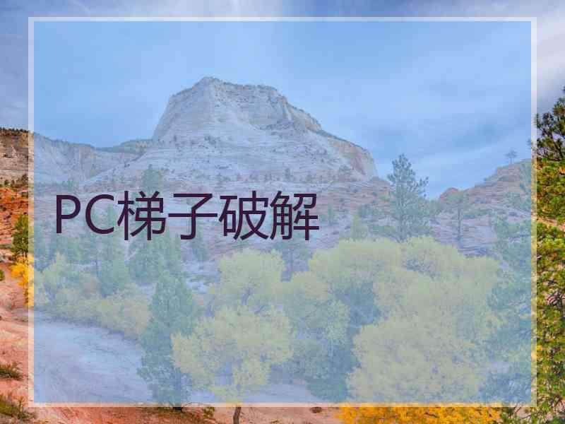 PC梯子破解