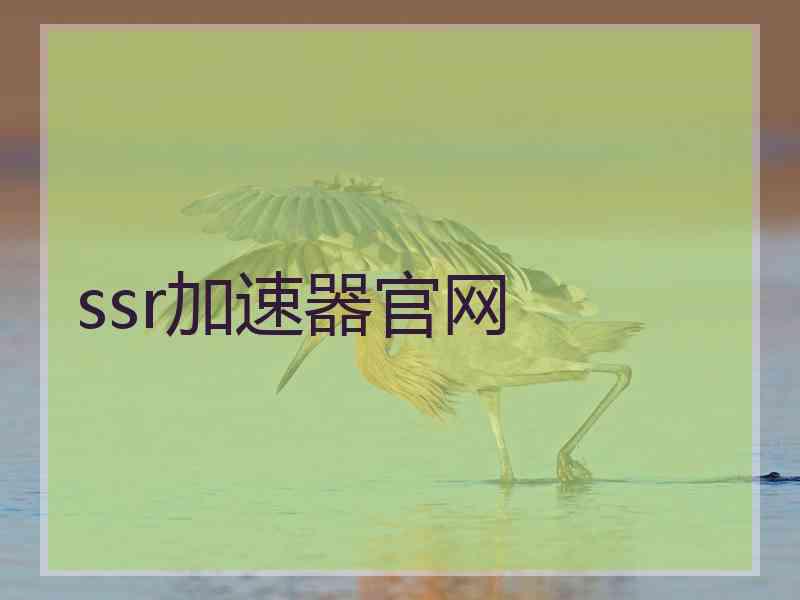 ssr加速器官网