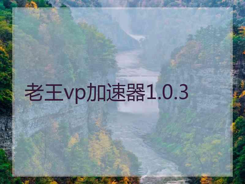 老王vp加速器1.0.3