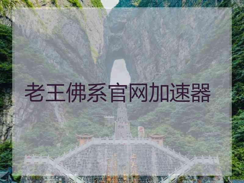 老王佛系官网加速器