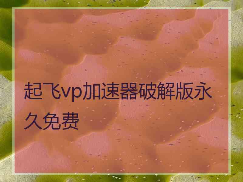 起飞vp加速器破解版永久免费