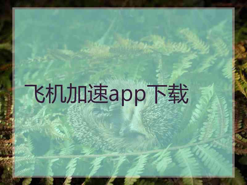 飞机加速app下载