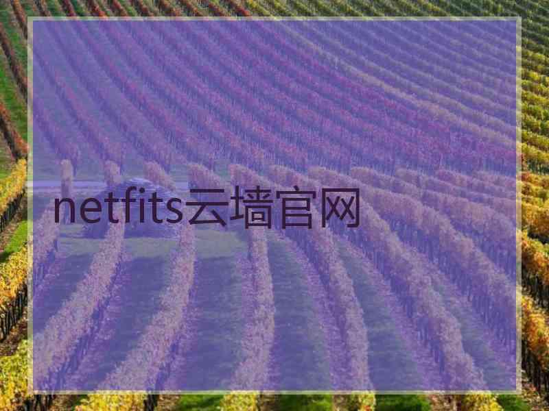 netfits云墙官网