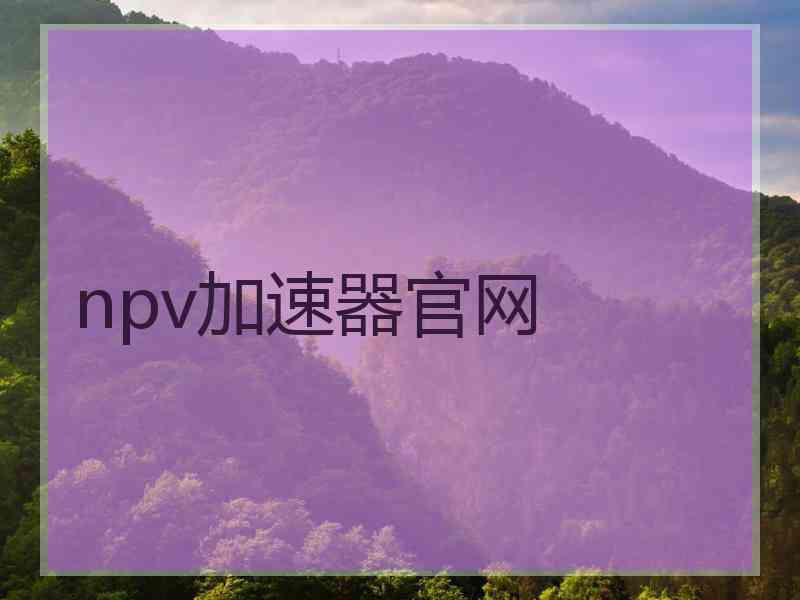 npv加速器官网