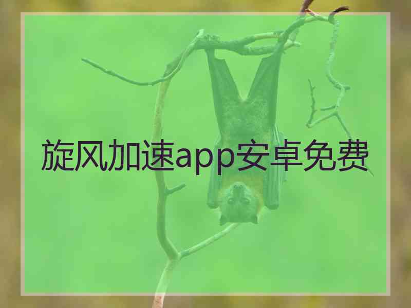 旋风加速app安卓免费