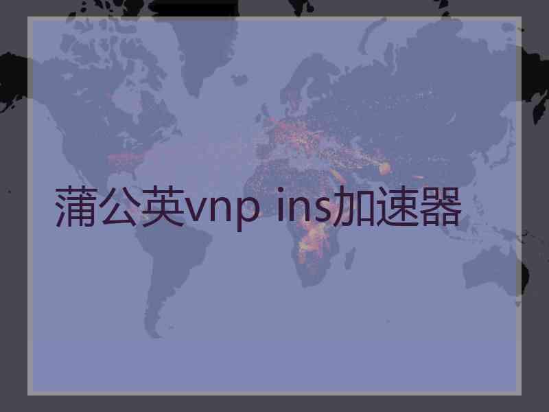 蒲公英vnp ins加速器