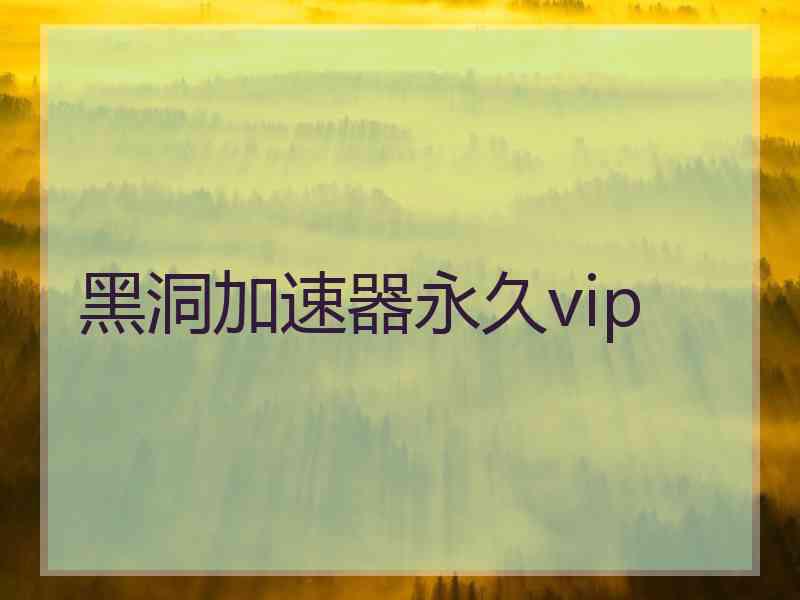 黑洞加速器永久vip