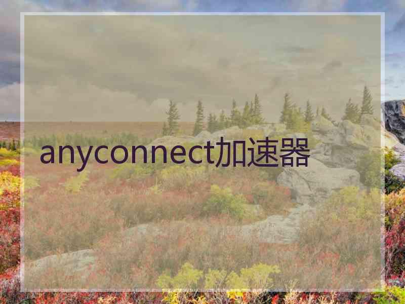 anyconnect加速器