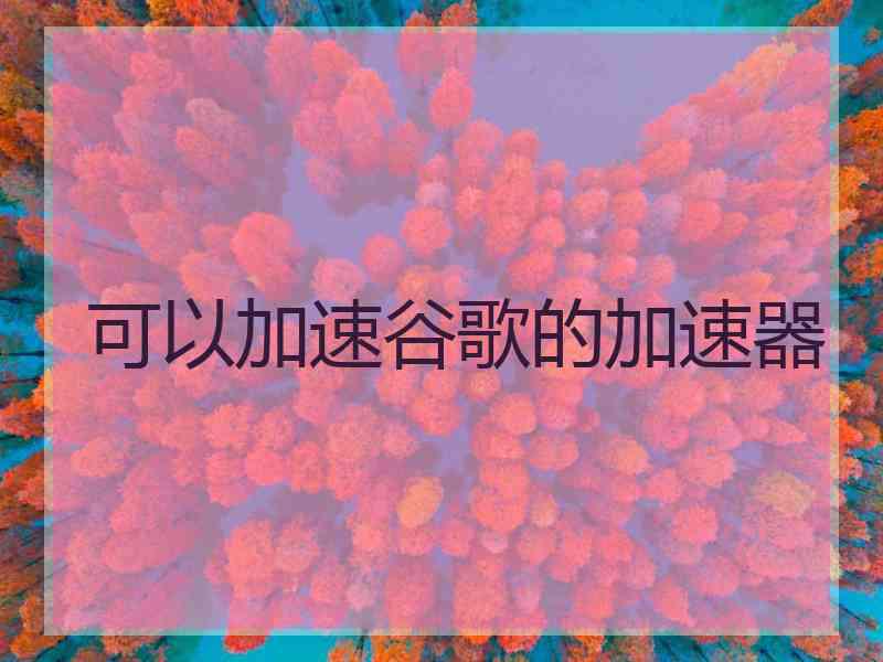 可以加速谷歌的加速器