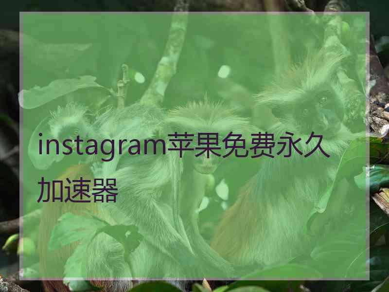 instagram苹果免费永久加速器