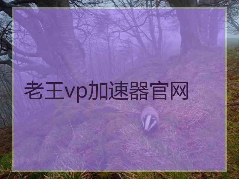 老王vp加速器官网