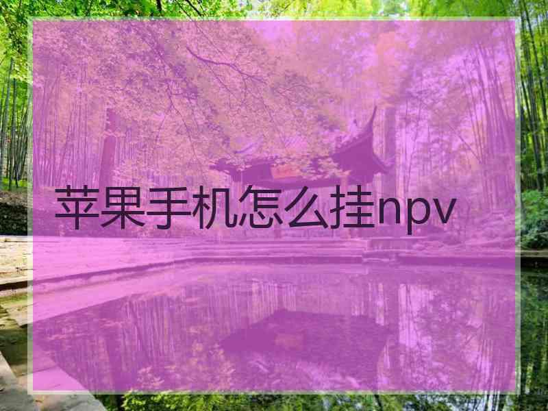 苹果手机怎么挂npv