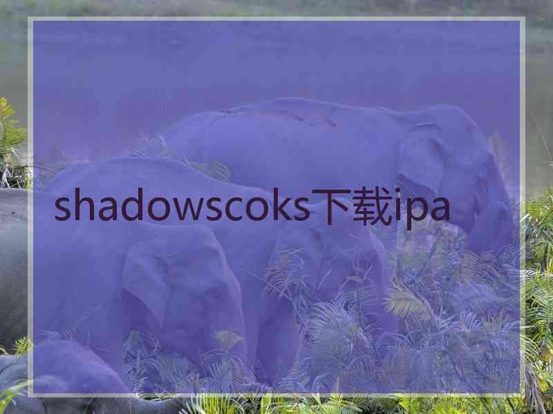 shadowscoks下载ipa