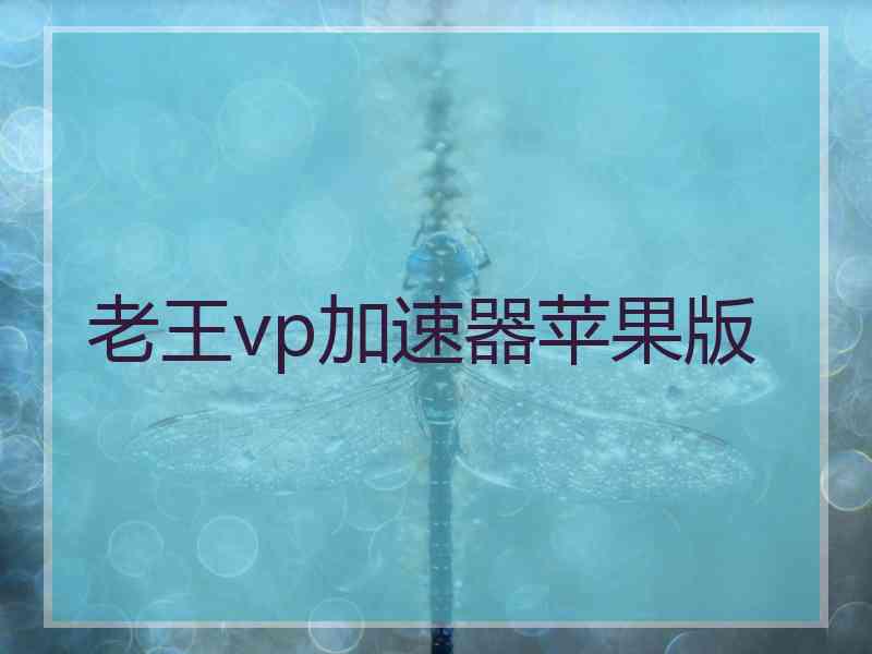 老王vp加速器苹果版