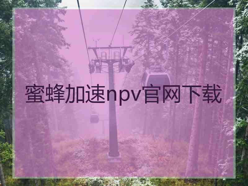 蜜蜂加速npv官网下载