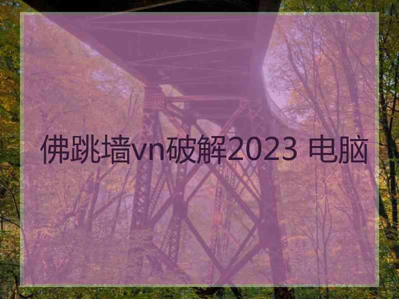 佛跳墙vn破解2023 电脑