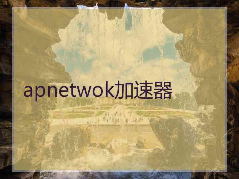 apnetwok加速器