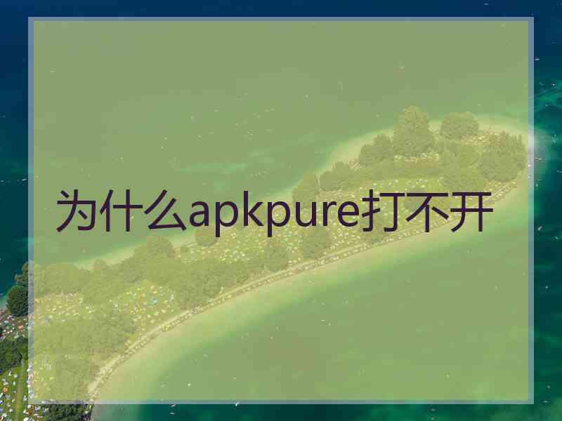 为什么apkpure打不开