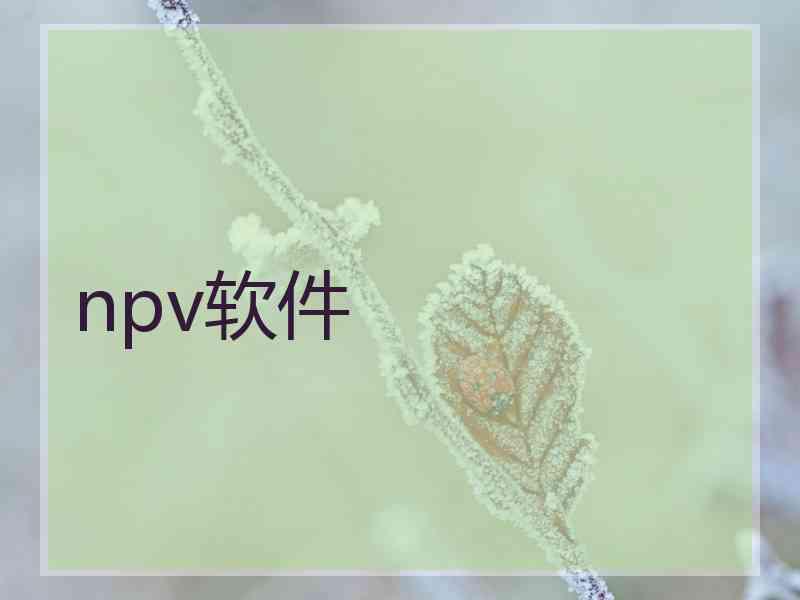 npv软件