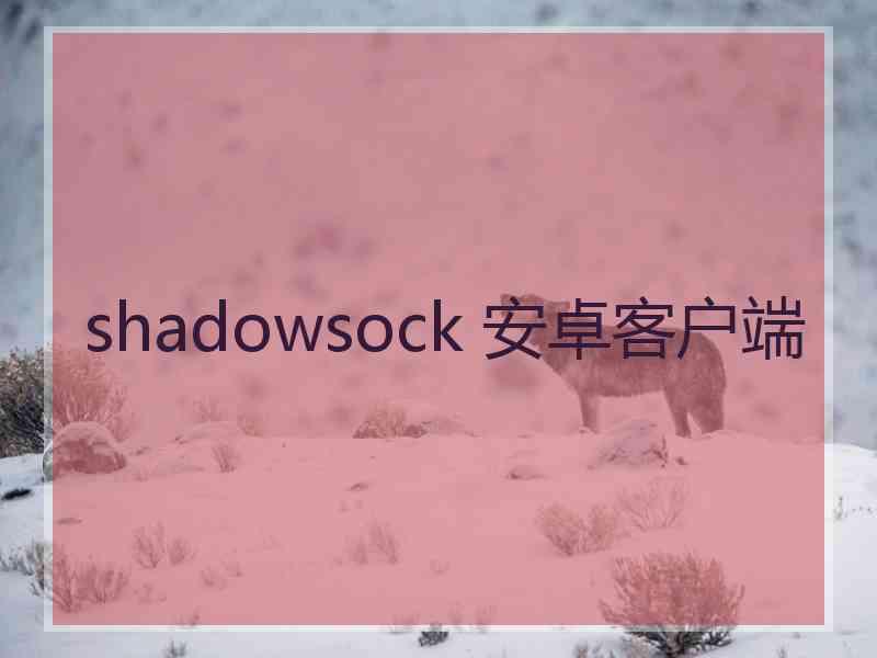 shadowsock 安卓客户端