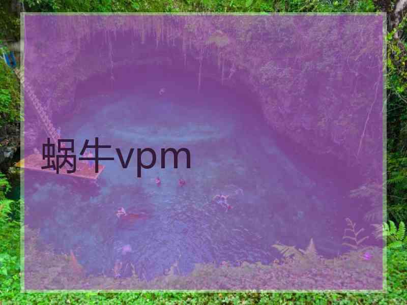 蜗牛vpm