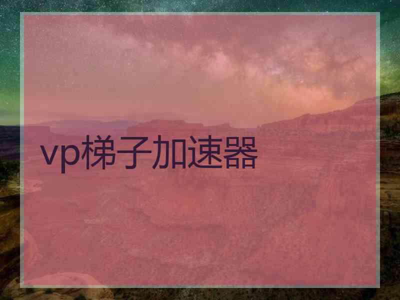 vp梯子加速器