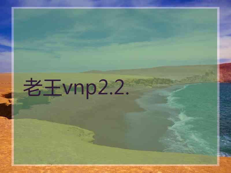 老王vnp2.2.