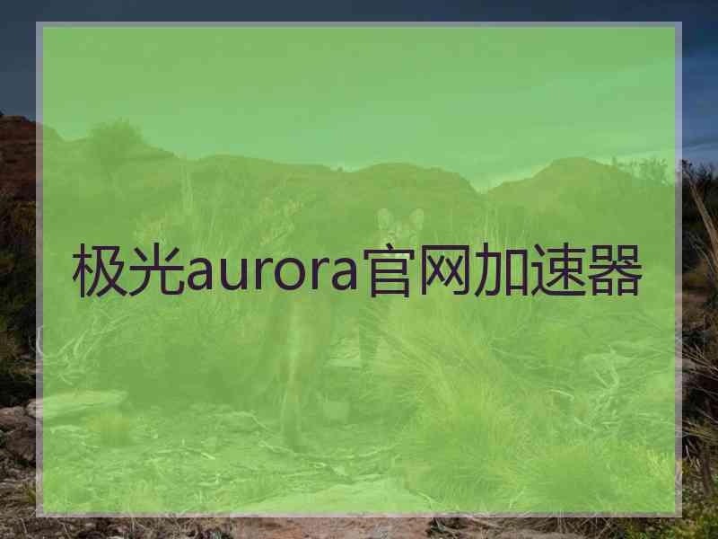 极光aurora官网加速器