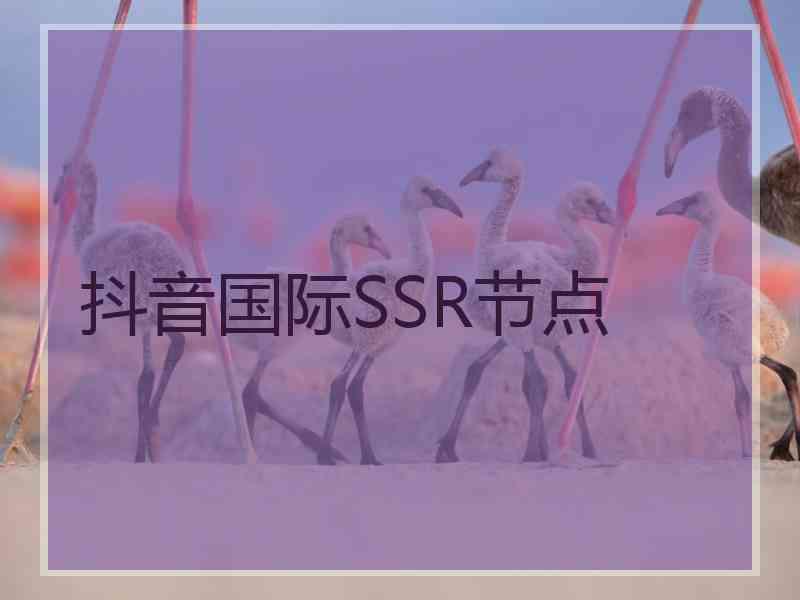 抖音国际SSR节点