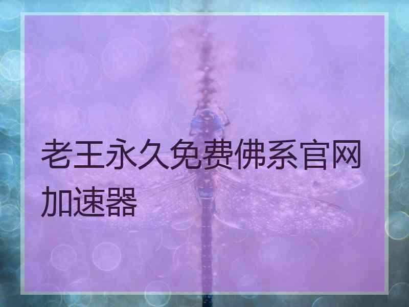 老王永久免费佛系官网加速器