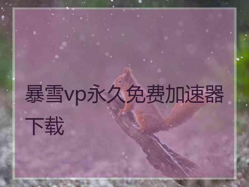 暴雪vp永久免费加速器下载