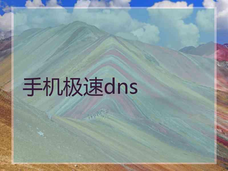 手机极速dns