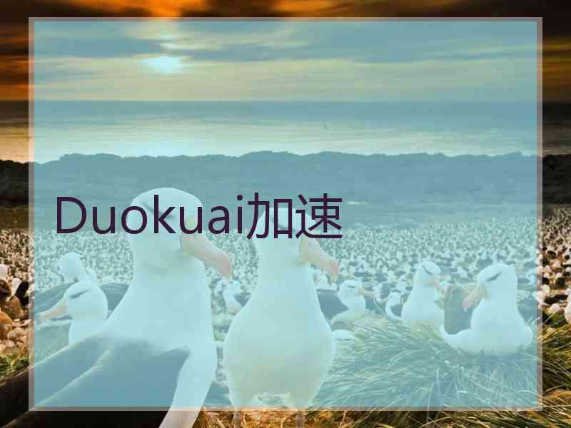 Duokuai加速