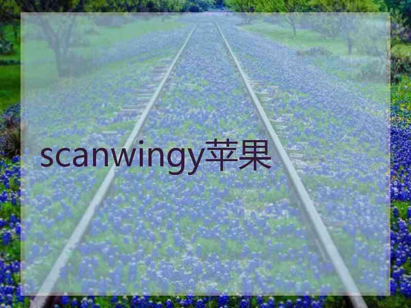 scanwingy苹果