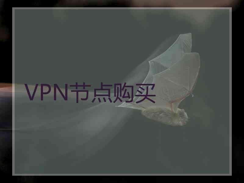 VPN节点购买