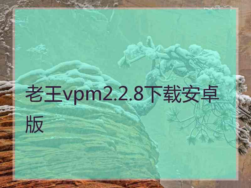 老王vpm2.2.8下载安卓版