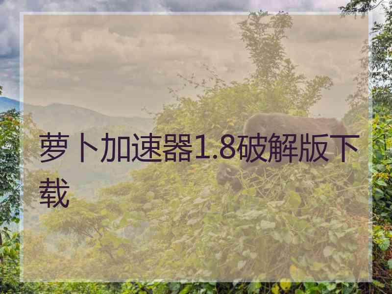 萝卜加速器1.8破解版下载