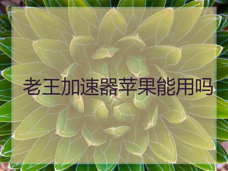 老王加速器苹果能用吗