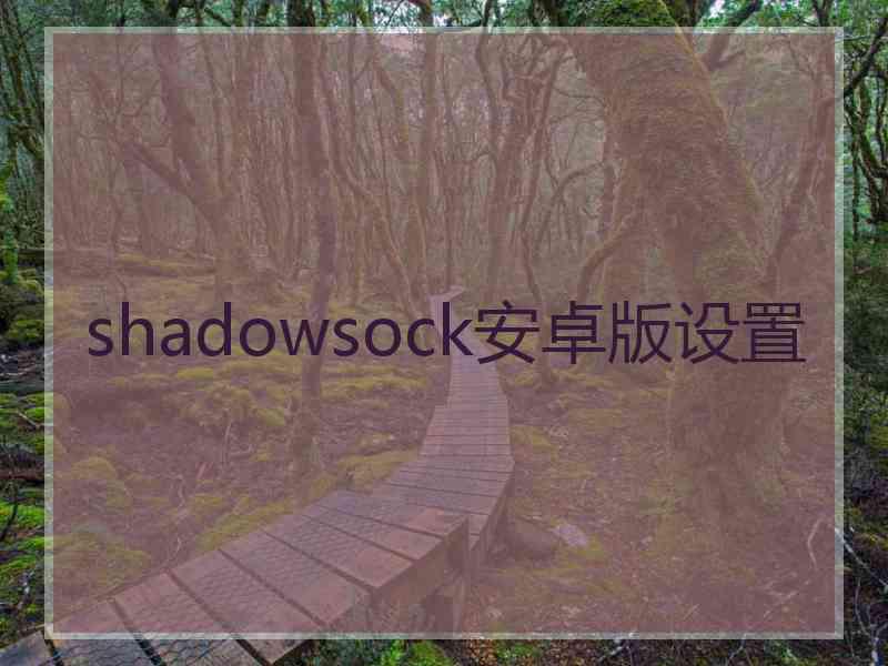 shadowsock安卓版设置