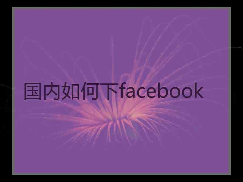 国内如何下facebook