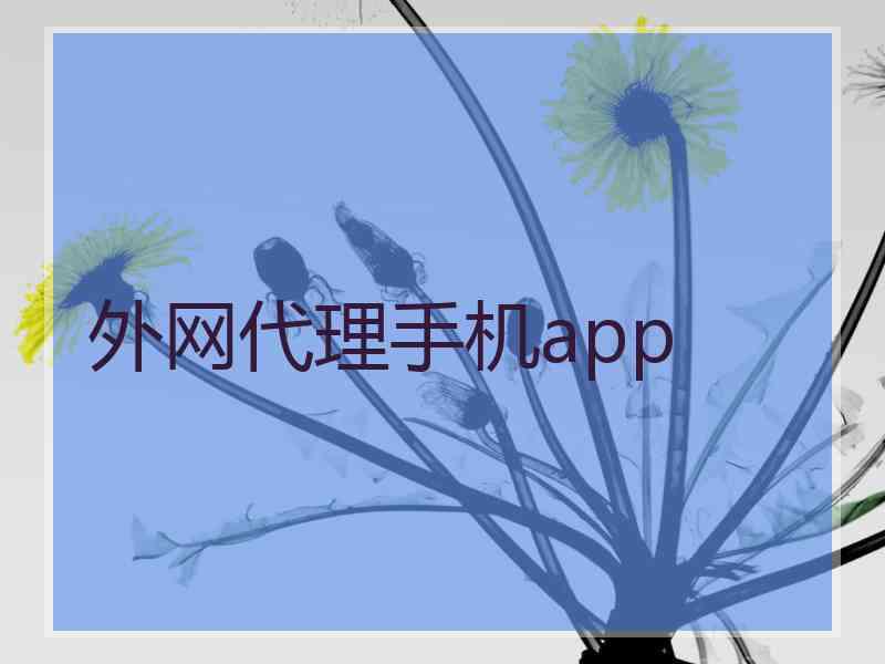 外网代理手机app