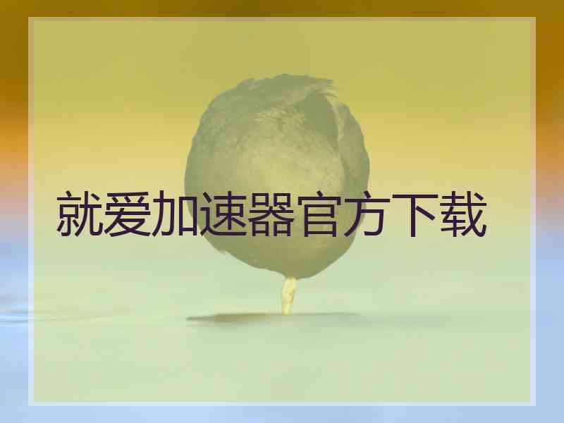 就爱加速器官方下载