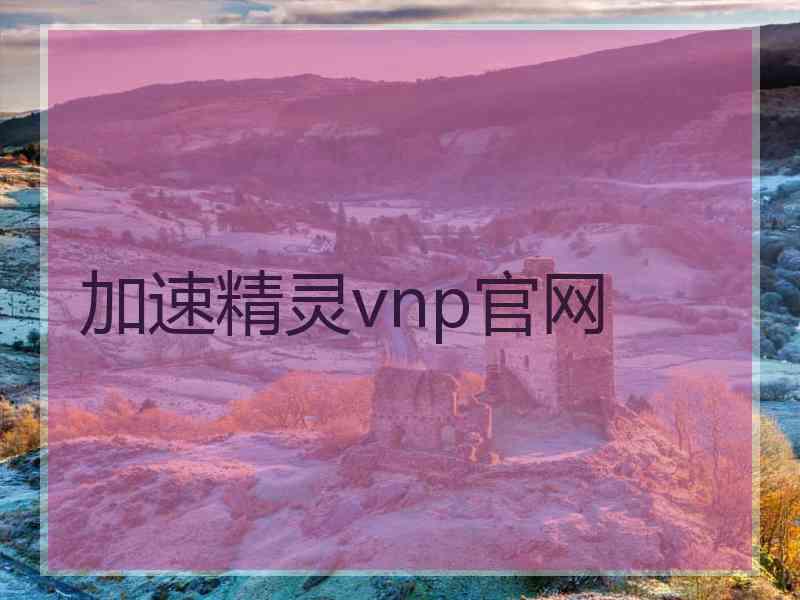 加速精灵vnp官网