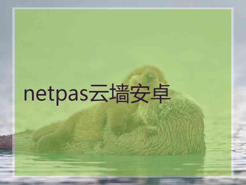 netpas云墙安卓