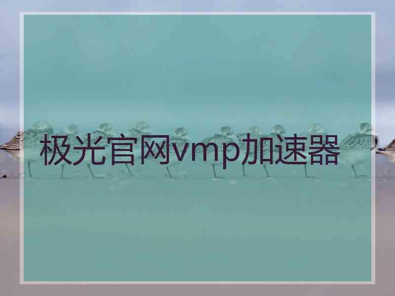 极光官网vmp加速器